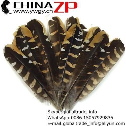 Leading Supplier CHINAZP Factory 100pcs/lot Selected Top Quality Natural Reeves Venery Pheasant Wing Feathers