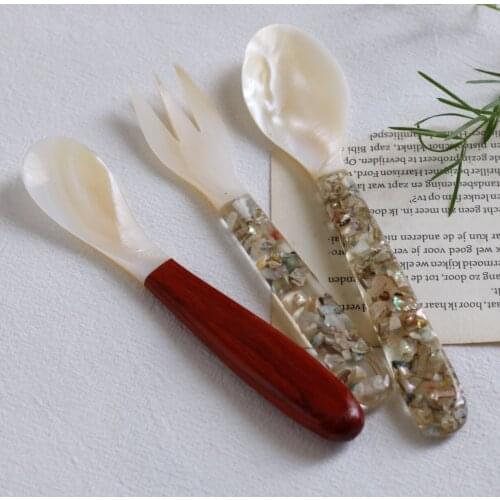 Dream tian liangpi creative natural sea shell fragments/red solid wood spoon fork fruit dessert spoon coffee spoon