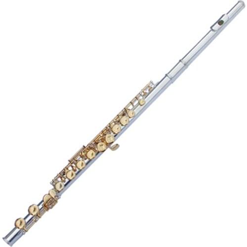 Intermediate grade 16 closed hole Silver plated body gold plated key flute