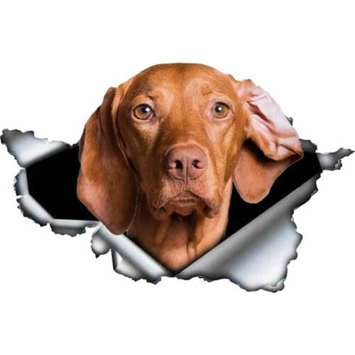 S50079# 13/15/17CM Personality PVC Decal Weimaraner V5 Waterproof Car Sticker on Motorcycle Laptop Decorative Accessories