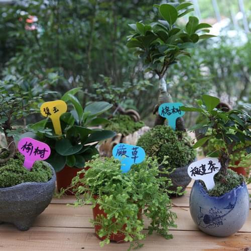 50Pcs/Lot Reusable Plastic Plant Markers T-Type Tags Nursery Garden Decor Tags For Plants Flower Pot Tags Garden Supplies