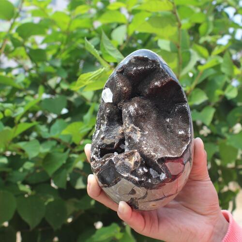 1510g Natural curvature of the furnishing articles Turtle grain stone egg Ball Septarian nodule Fossil Crystal Healing quartz