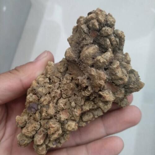 1pcs Fossil dinosaur poop, Dinosaur Coprolite 150g