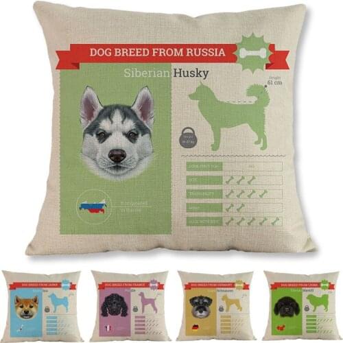 World Famous Animal Dogs Breeds Origin Introduction Throw Pillow Case Home Car Pet Shop Chair Sofa Decorative Cushion Cover