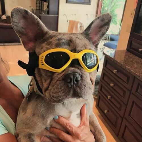 Fashion Cool Pets Outdoor Foldable Pet Dog Goggles Sunglasses Puppy Eyewear Prop Pet Dog Sunglasses Pet Products