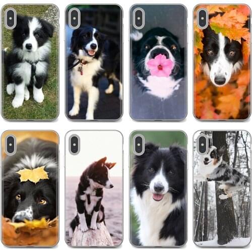 Soft Skin Cover Border Collie Dog Breed Print For Huawei P8 P9 P10 P20 P30 P Smart 2019 Honor Mate 9 10 20 8X 7A 7C Pro Lite