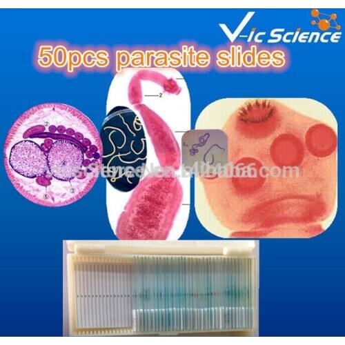 Medical science 50pcs microscope parasite prepared slides set