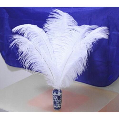 Sell high quality 10pcs / lot white ostrich feather 14-16 "/ 35-40cm, DIY jewelry accessories /Wedding decoration