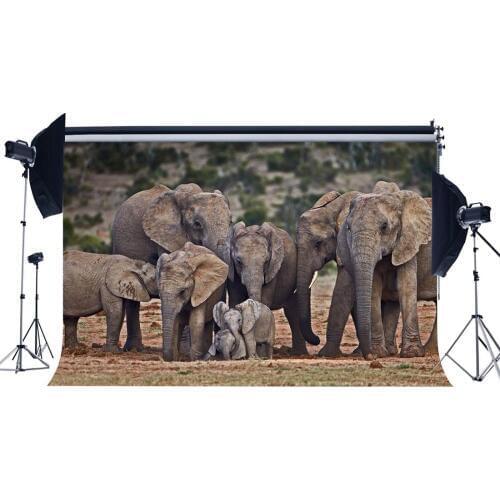 Elephant Backdrop Nature Landscape Jungle Forest Backdrops Happy Mothers Day Sweet Love Background