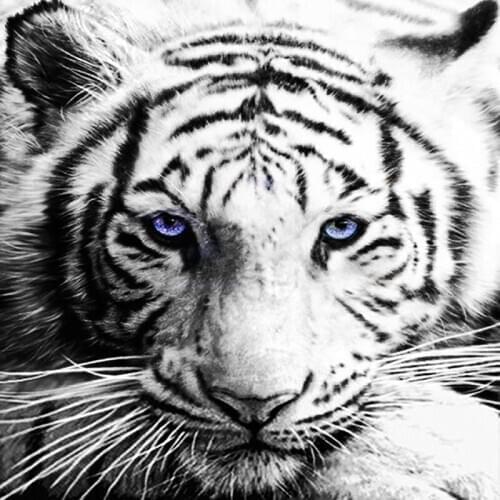 5D DIY Square/Round Diamond Painting Tiger Cross Stitch Mosaic Diamond Embroidery Black and White Animals Rhinestone Crafts Kit