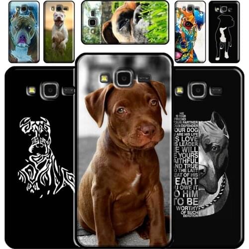 Cute Pit Bull Dog Pitbull Phone Case For Samsung Galaxy J1 J3 J4 J5 J6 J7 J8 2018 A7 A9 A6 A8 Plus A3 A5 2016 2017
