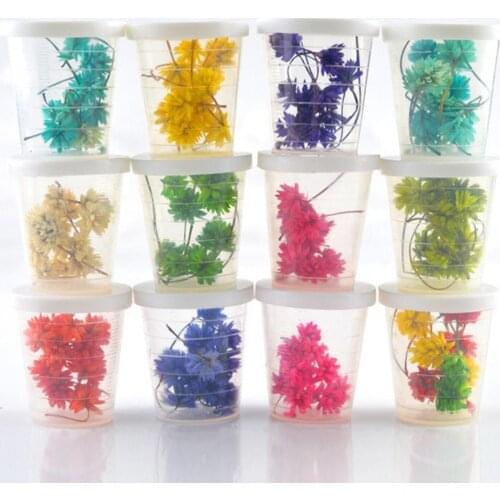 1 Bunch Natural Pressed Decorative Dried Flowers Branch Specimen Dried Flower DIY Craft Phone Case Accessories Dried Flowers