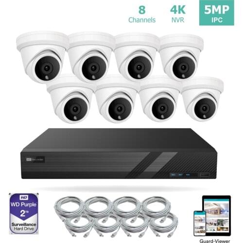 LINOVISION 8 Channel 4K IP PoE Security Camera System 8ch 4K NVR with 2TB HDD and 8 Outdoor 5MP PoE IP Turret Cameras