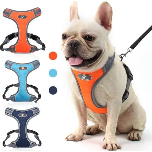 2021 Pet Traction Rope, Breathable Mesh, Does Not Hurt The Hair, Easy To Wear, Reflective And Strong Traction Belt