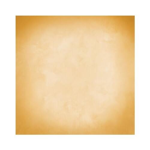 Monochrome warm color photo backgrounds vinyl old master photography backdrops for photo Studio accessories photophone MH-001