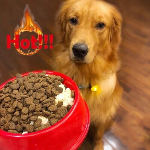 Dog Food Bowls Pet Drink Bowl Red Black Bowls for Cats Letter Pattern Pet Food Feeders Thicken Plastic Water Bowl Bulldog