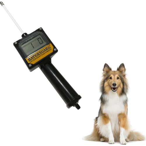 PQZATX Dog Accessories