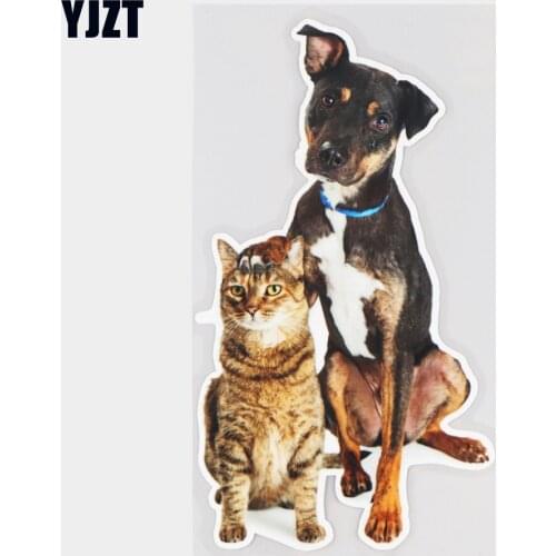 YJZT 10×18.3CM Lovely Cat Dog Animal Body Decoration Stickers Funny Cartoon Car Accessories 21A-0571