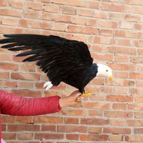 Big creative simulation wings eagle model foam&furs black eagle gift about 55x40cm 0727