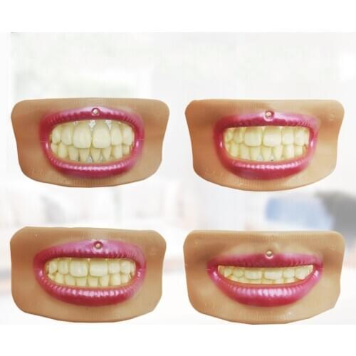 4 pcs Dental Lab Esthetics Lip Checking Teeth Arrangement midline Inner Illusion Effect - 4 Different Mouth Shape