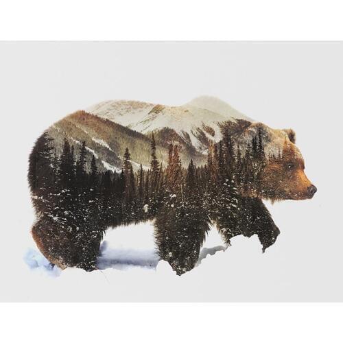 GATYZTORY Frame Picture DIY Painting By Numbers Animals Calligraphy Painting Acrylic Paint On Canvas For Wall Art Picture 40x50