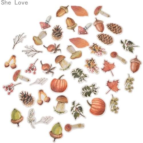 Chzimade 46pcs Fall Pumpkin Mushroom Scrapbooking Stickers Decorative Sticker DIY Craft Photo Albums Decals