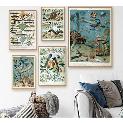French Vintage Marine Life Terrestrial Flora and Fauna Poster Butterfly Canvas Painting Prints Plants Animals Wall Art Pictures