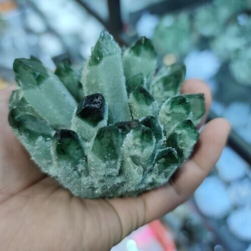 300-400g Natural Green Ghost quartz crystal cluster healing crystals raw gemstone specimen for home&office decoration fengshui