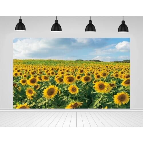 Scopiso Sunflower Field with Blue Sky and Clouds Photographic Backdrops Photo Studio Decoration Props Photography Backgrounds