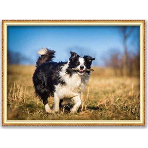 Animal Border Collie DIY Cross Stitch Embroidery 11CT Kits Craft Needlework Set Printed Canvas Cotton Thread New Design On Sale