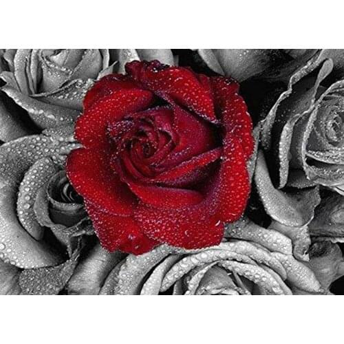 5D DIY Diamond Painting Rose Flowers Full Square Round 3D Embroidery Pictures of Rhinestones Cross Stitch Kits Arts Decor DF621
