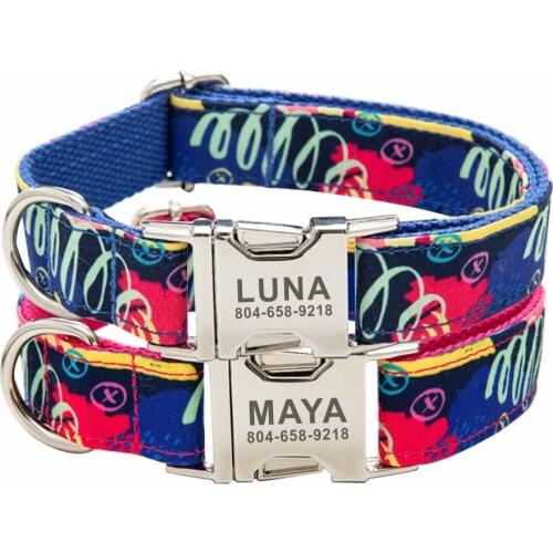 Personalized Pet Collar Custom Puppy Nameplate ID Tag Adjustable Buckle Graffiti Cool Blue Pink Free Engraving Collars Leash Set