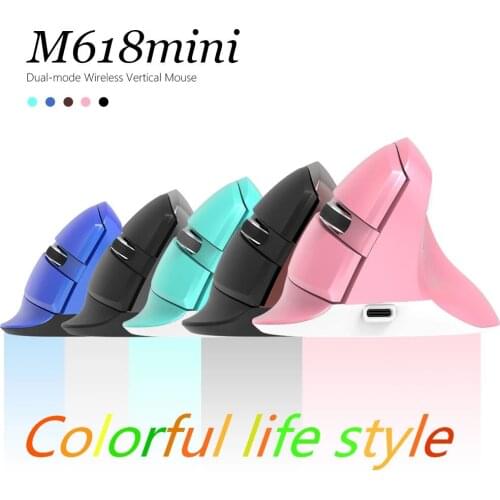 Delux M618Mini Gamer Bluetooth 2.4GHz Build in Rechargeable Battery Mice Ergonomic Vertical Mouse Wireless Gaming Mouse
