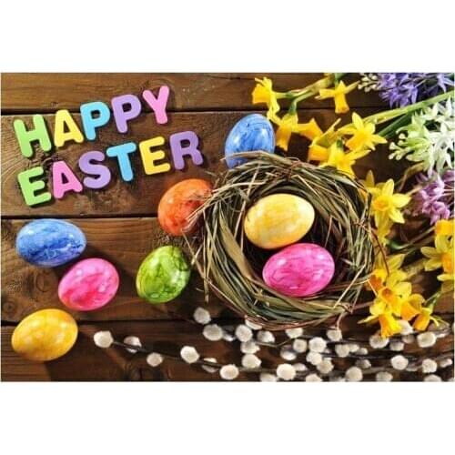 Background happy easter eggs bird nest wood floor flower painted eggs children background photography professional backdrops