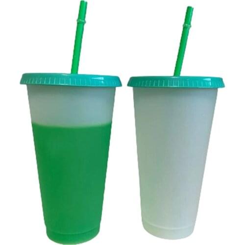 PP Color Changing Cold Cups with Lid Plastic Tumbler 700ml Reusable Blood Vampire Party Cup Haunted House Straw Cup Drinkware