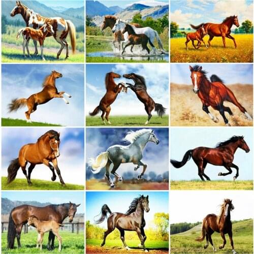 EverShine Diamond Painting Full Square Horse Cross Stitch Diamond Embroidery Animals Mosaic Rhinestones Art Handmade Hobby Gift