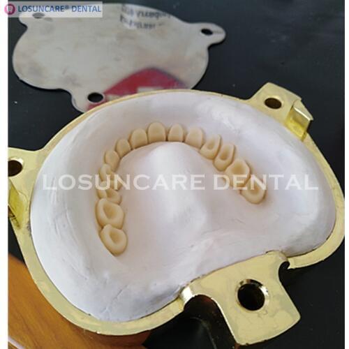 Copper Denture Flask Dental Lab Press Compress Compressor Equipment Parts Flask On Acrylic Partial Work