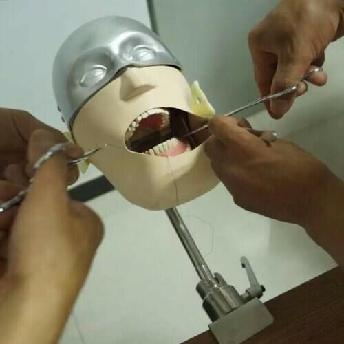 Stainless steel head model NISSIN Dental manikins and models Phantom Head Dental Teaching demonstration