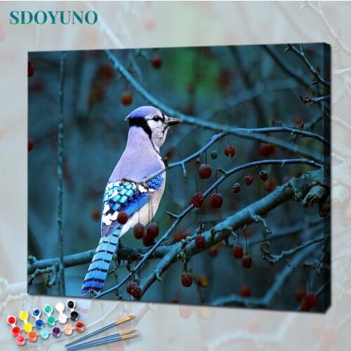 SDOYUNO Paint By Numbers Animals Oil Painting By Numbers On Canvas Birds 40x50cm Frameless DIY Home Decor Wall Art