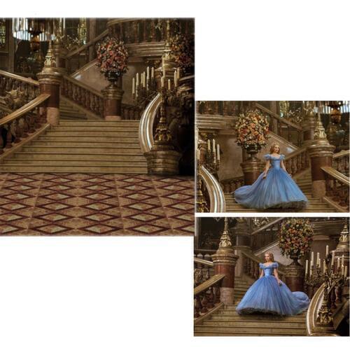 DAWNKNOW Vinyl Photography Backdrops Cinderella Fairy Tale Background For Children Photo Studio Gorgeously Stair 6745