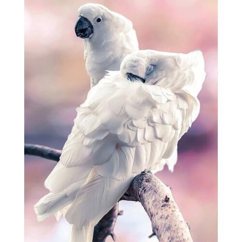 Diamond Mosaic Parrot Full Square Round Stones Animal Diy Diamond Painting Picture Of Rhinestones Wedding DecorationsZP-1896