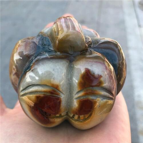 Natural marine stone ornaments Original ornaments Marine stone pumpkin funny ornaments