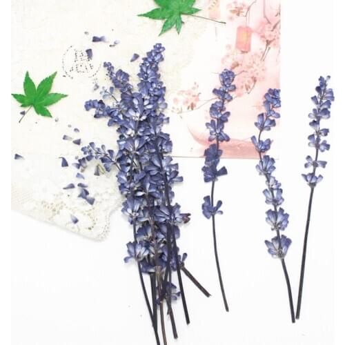 Sage Purple Dried Flower Real Lavender Embossed DIY Photo Frame Bookmark Candle Making Hot Sale Art Paint Parenting