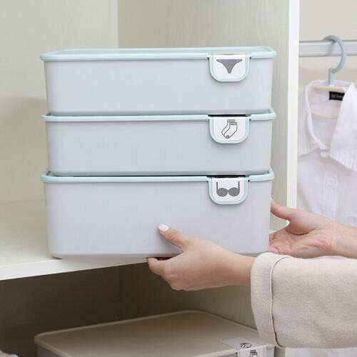 Logo Marking Underwear Storage Box Household Bra Storage Case Underpant Box Sock Box Grid Compartment