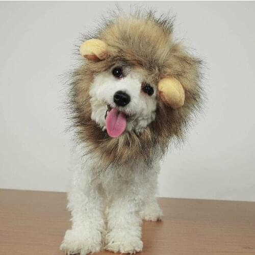 Funny Pet Small Dog Cat Costume Lion Mane Wig Cap Hat for Cat Dog Halloween Christmas Clothes Fancy Dress with Ears Pet Clothes
