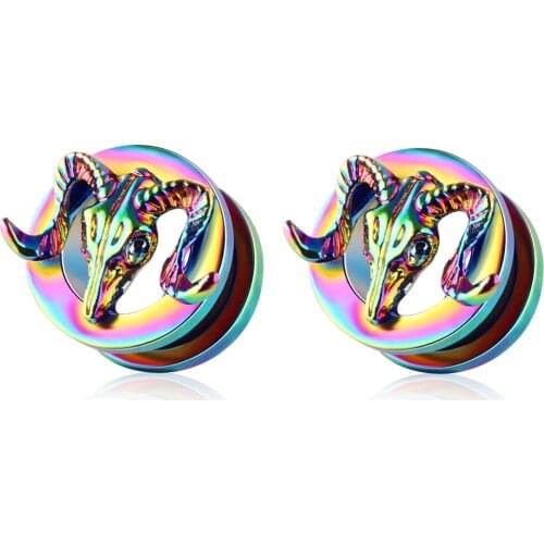 2020 New Style Rainbow Stainless steel ear Plugs Tunnels earrings Gauges Body Piercing Flesh Tunnel stretcher kit wholesales