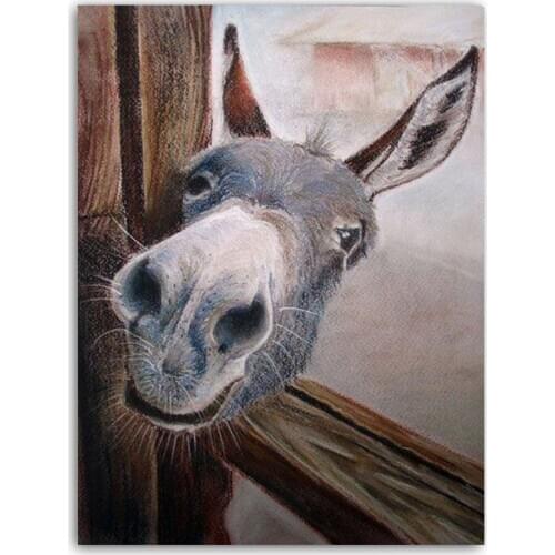5D DIY Diamond Painting Kit Full drill Round Pictures Diamond Embroidery Animal Sale Diamond Mosaic Donkey Decor