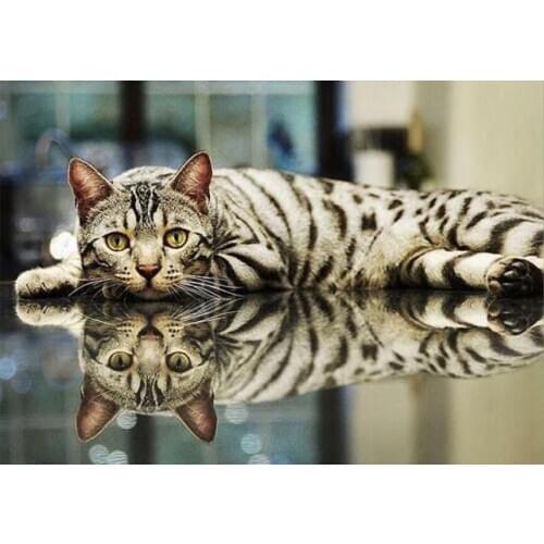 Cat diamond painting full round animals mosaic art picture embroidery cross stitch rhinestones picture puzzle wall decor gift