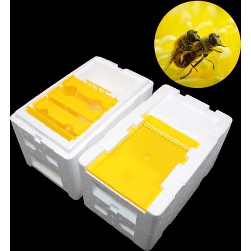1PCS Foam Hive Box Harvest Beehive King Queen Pollination Beekeeping Bee Mating Copulation Mating Multiply Breeding Bees Tools