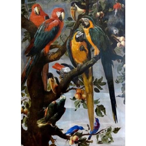 5D diamond painting wall stickers Cross stitch haft diamentowy kit set Full square Cuadros animal Mosaic bird parrot colour art
